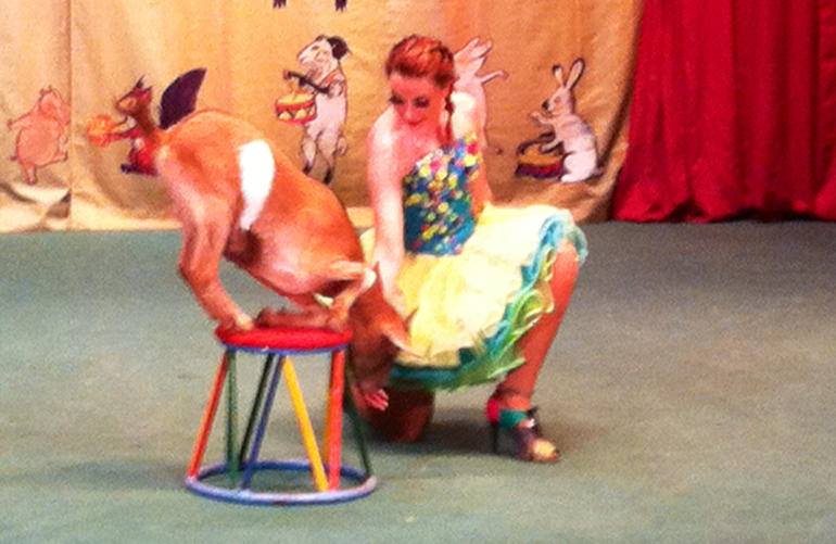 В гостях у дедушки Дурова ( большая сцена)