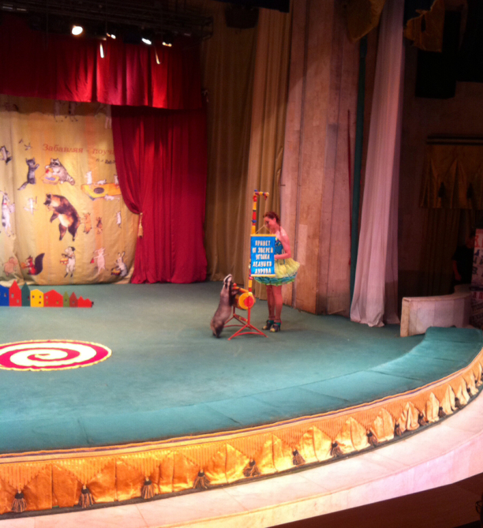 В гостях у дедушки Дурова ( большая сцена)