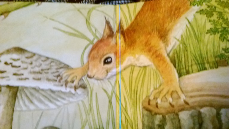 Белки..... белки.....