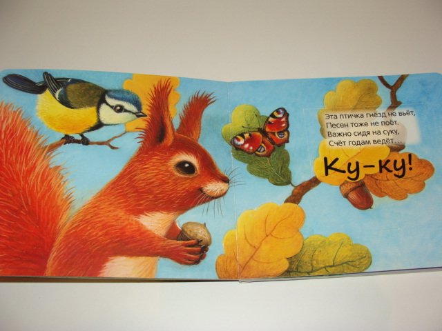 Белки..... белки.....