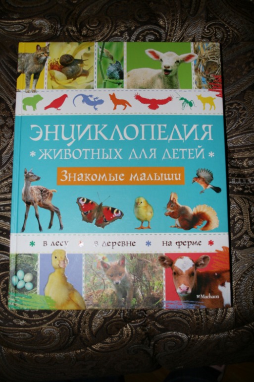 Белки..... белки.....