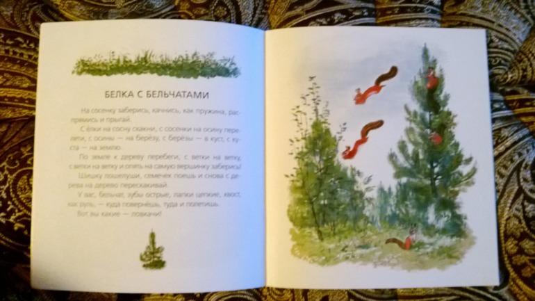 Белки..... белки.....