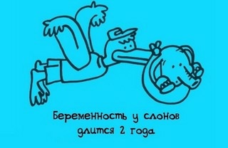 Я поняла...