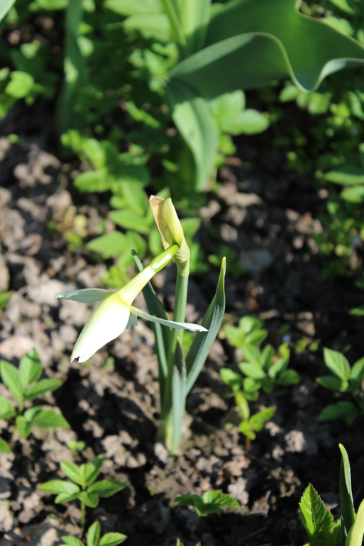 А на даче....