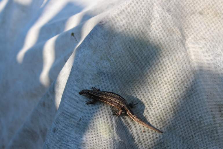 Лето началось!!!