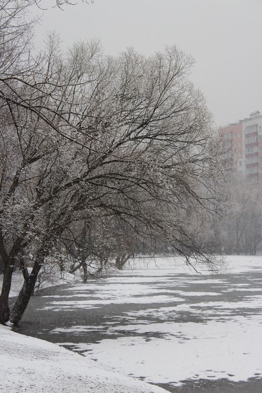 Погодные причуды!