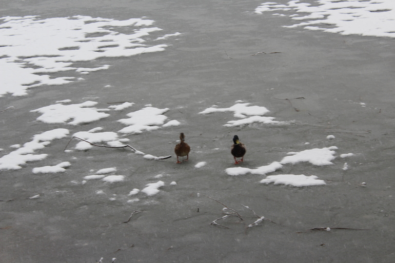 Погодные причуды!
