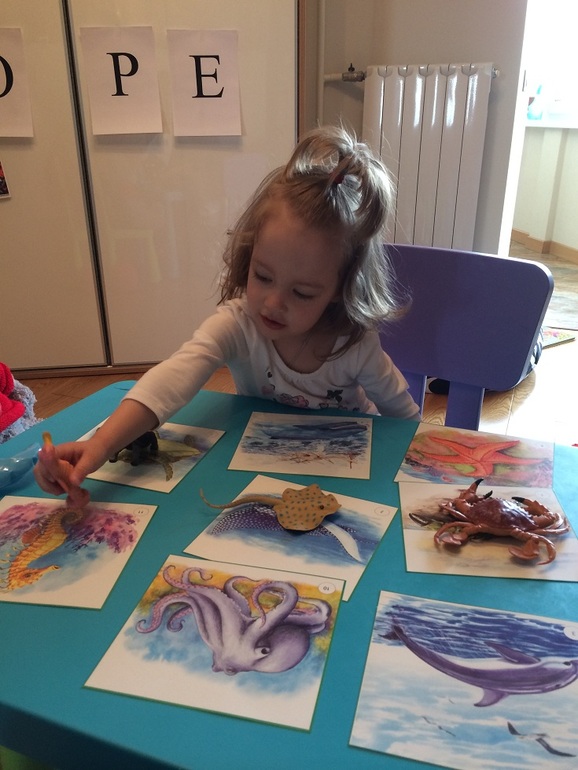 Морская неделька