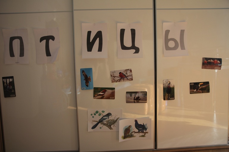 ТН Птицы день 1 вместе с проектом Play mama