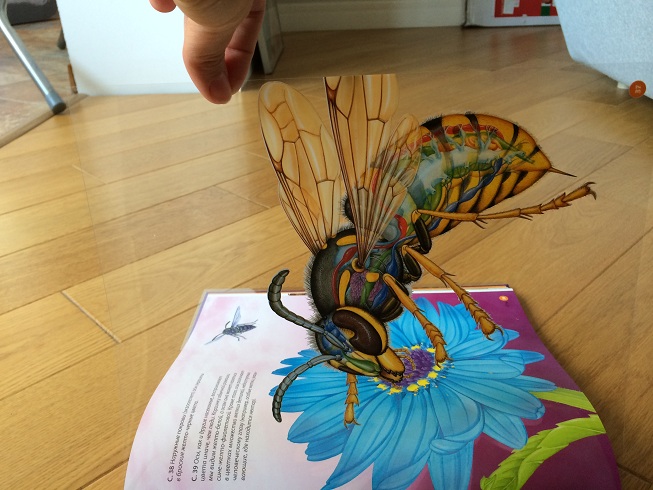 2D атлас Насекомые и пауки