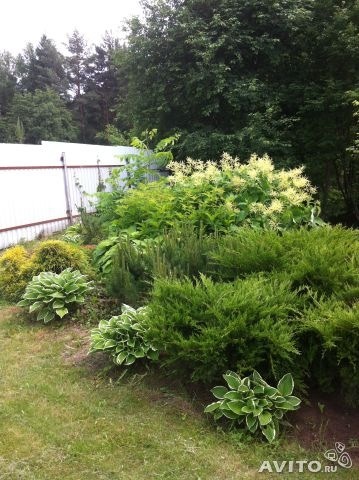 Продам дачу 7 млн.