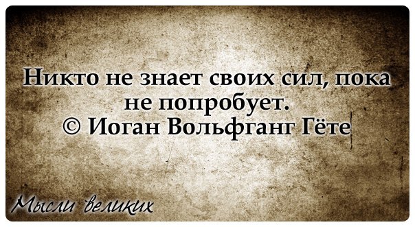 03ac85fac4d061bb4ea75cfad7de52ba.jpg