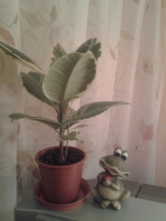 Новые приманочки для малыша=)))