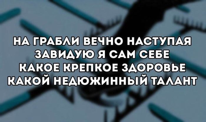 32935f202ecb58a0b3e21eae1fff9c73.jpg