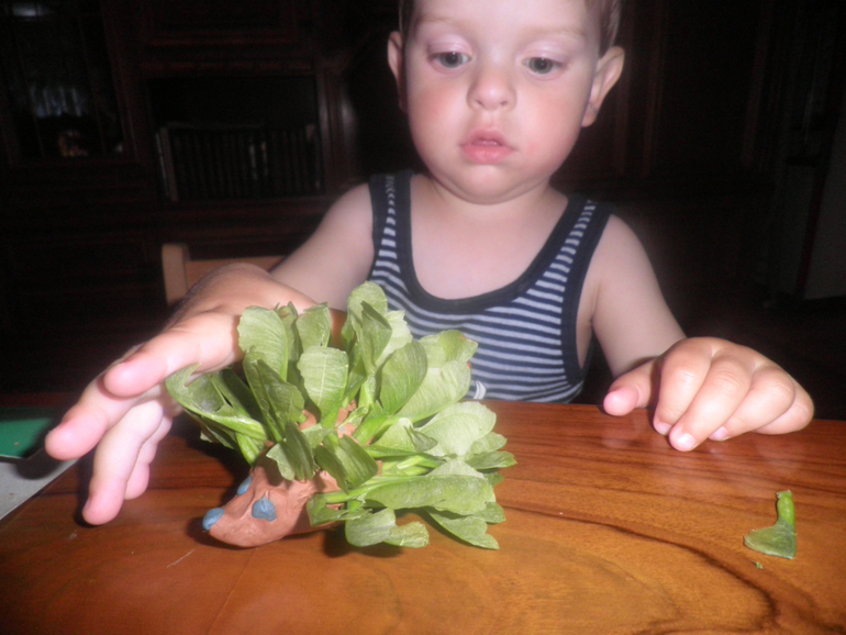 Ежик и пальма