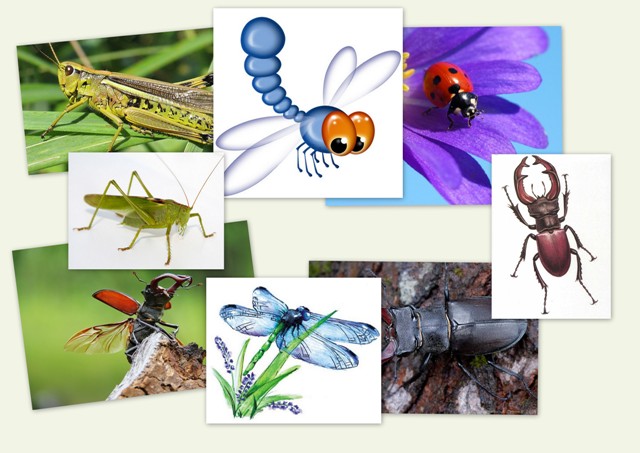 Отчеты по ТН