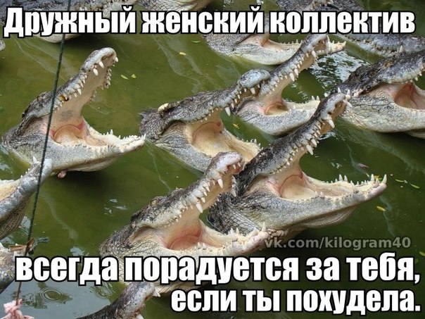 День 0. Отчет и подведение итогов