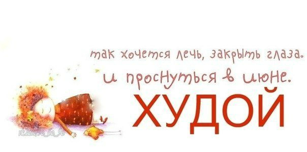 День 0. Отчет и подведение итогов