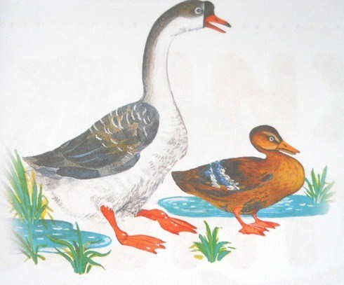 Главный пост ТЗ "Утка, Гусь"