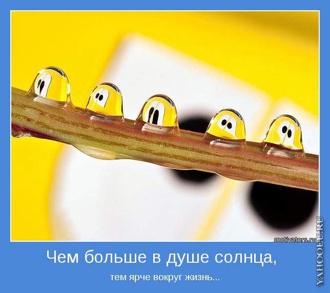 6ecdcd6b172575465c512e88ab5fa313.jpg