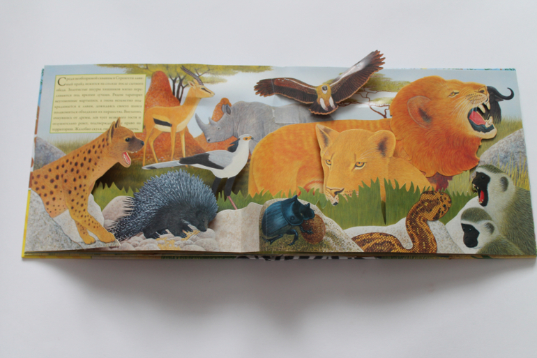 Наши книги. часть 1.