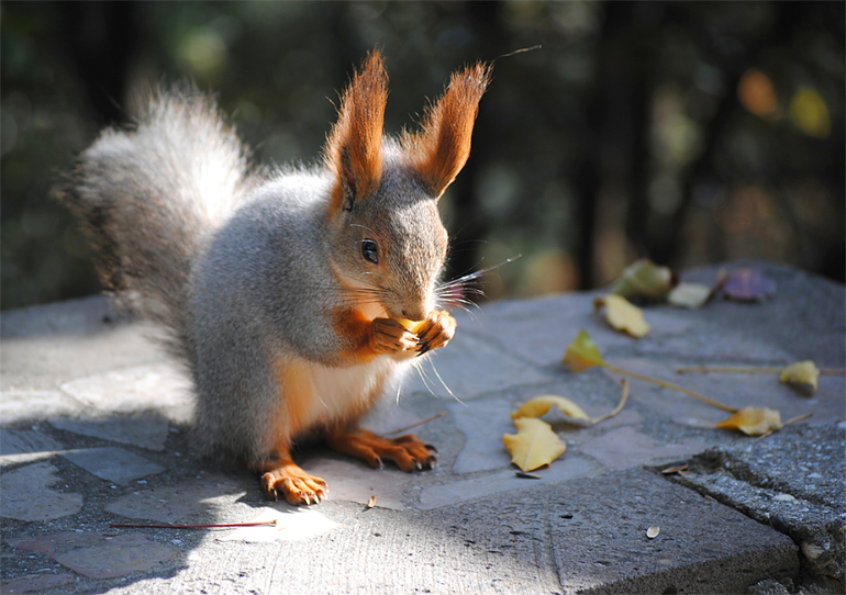 Хочу учится) Примете?