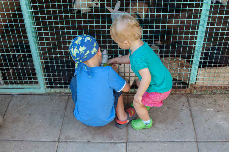 Fethiye. Majesty Club Tuana. September-November 2013