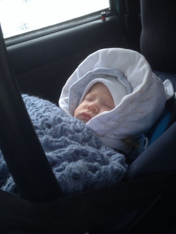 Стёпкин первый выход в свет! (многофото)