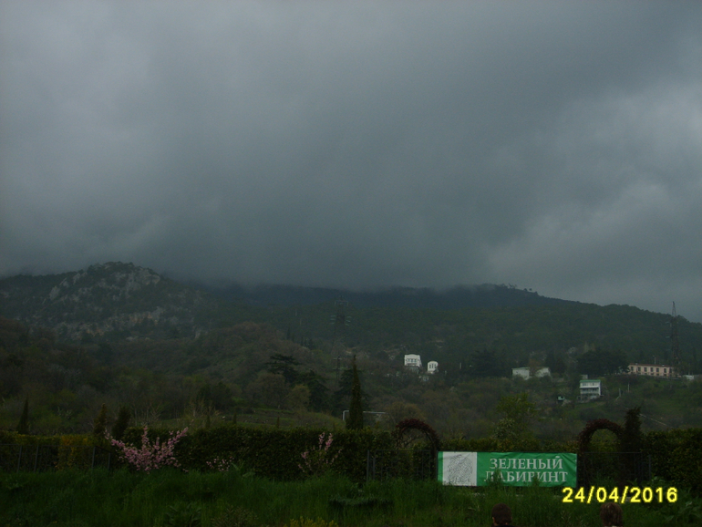 Никитинский ботанический сад.