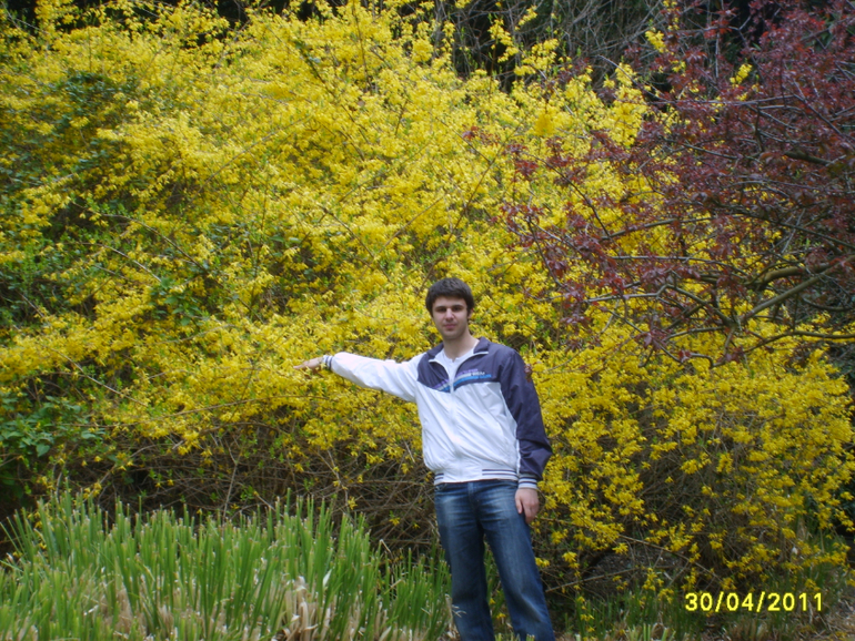 Никитинский ботанический сад.