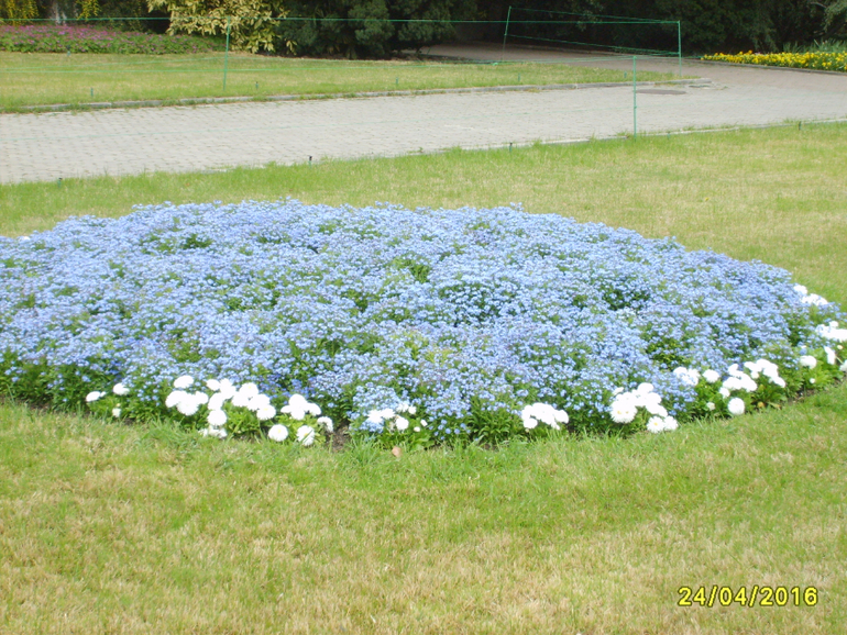 Никитинский ботанический сад.