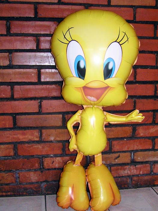 Помогу украсить ваш праздник !