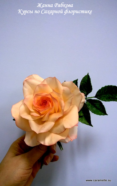 Отчет о прошедших курсах 28.02-02.03.2014 г.