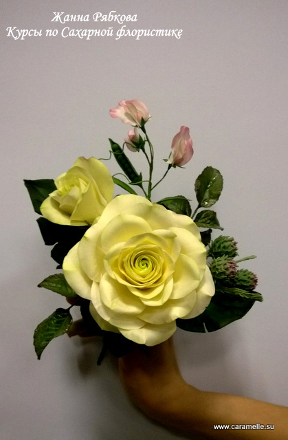 Отчет о прошедших курсах 28.02-02.03.2014 г.