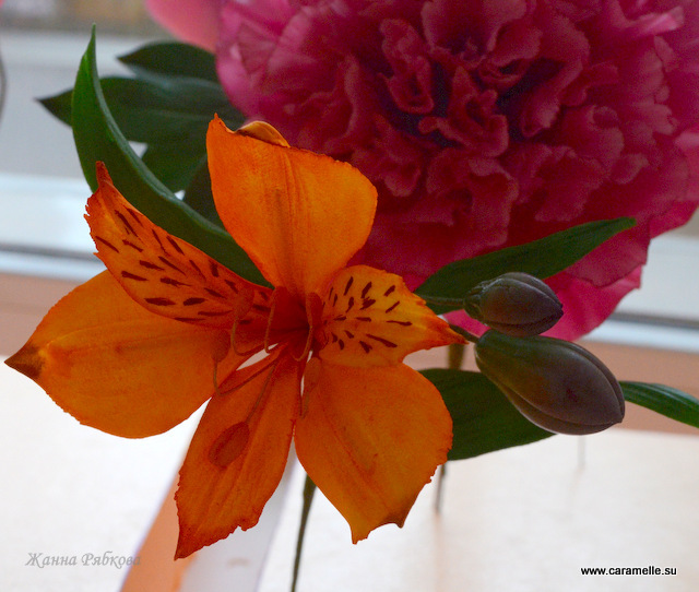 Фотоотчет с курсов по сахарным цветам в г. Уфа)))