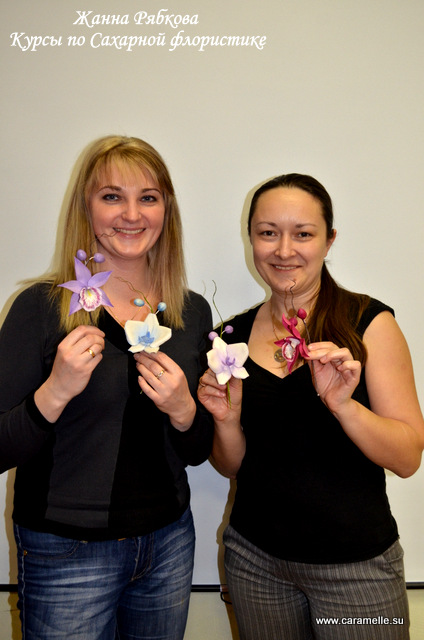 Отчет о прошедших курсах 28.02-02.03.2014 г.