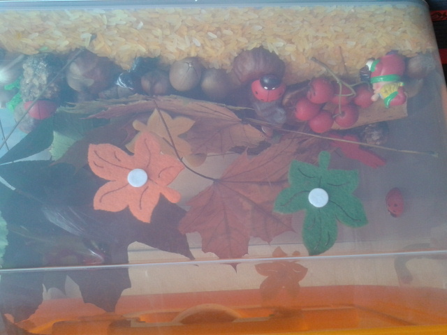 День первый. ТН:ОСЕНЬ