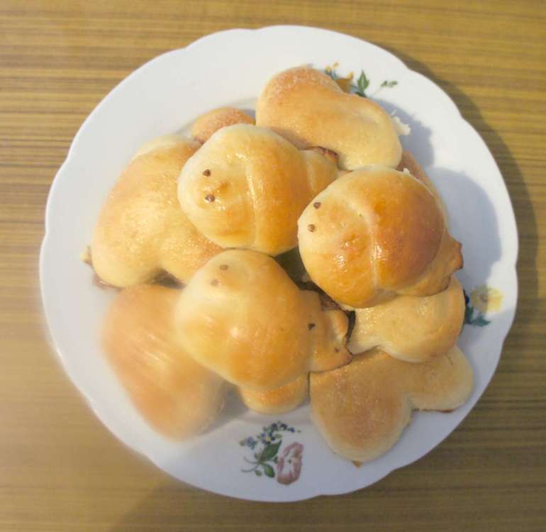 День 4. Здравствуйте птицы!