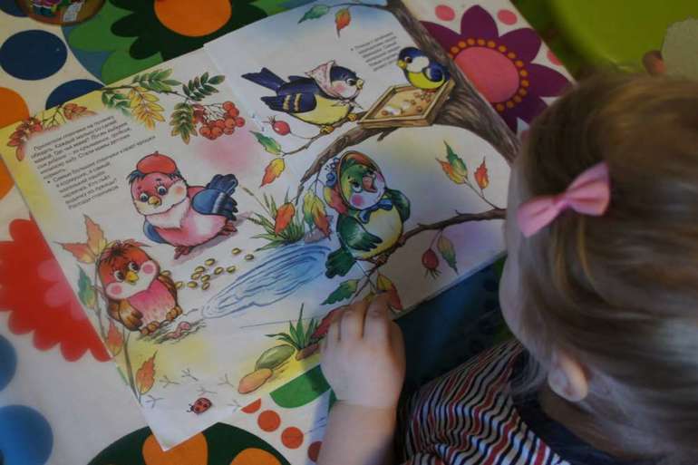 День 4. Здравствуйте птицы!