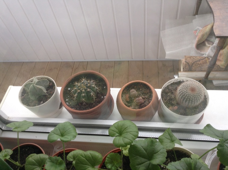 Мои друзяшки))