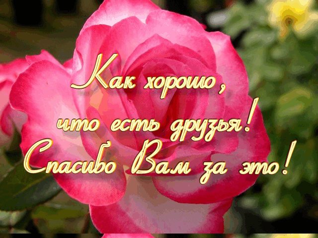 Девочки, огромное спасибо всем за поздравления!!!!!!!