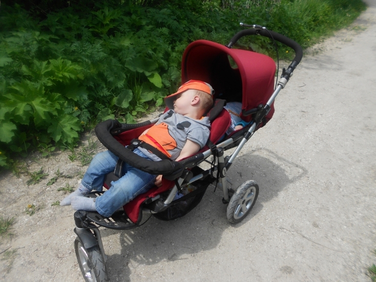 Прогулочка наша сегодня!