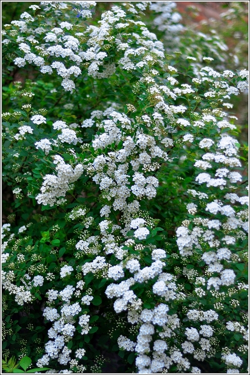 Наш Никополь-город побед))