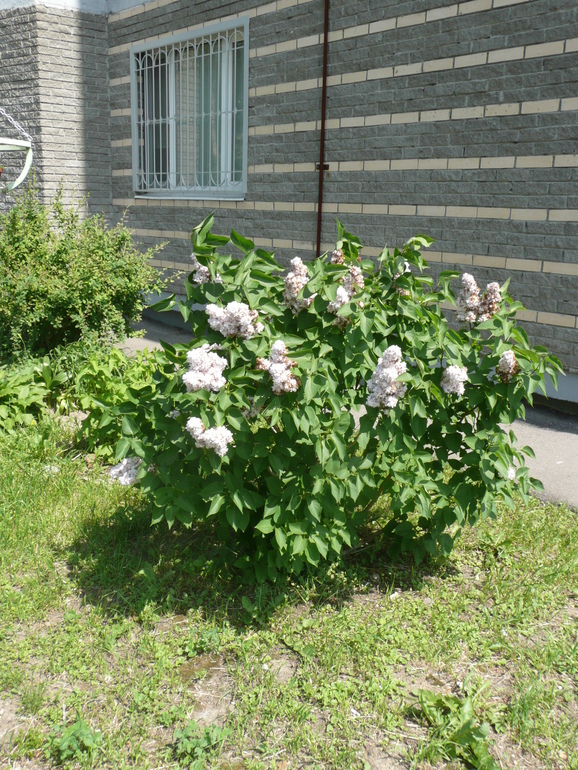 19b9d9539bf0be00aa259288669dc36d.jpg