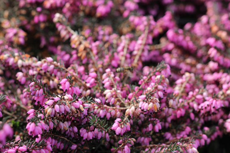 Одна страна - одна команда!