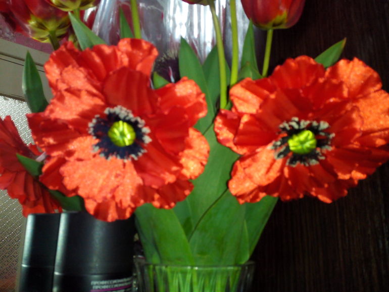 мои первые маки