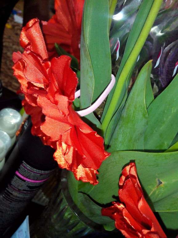 мои первые маки