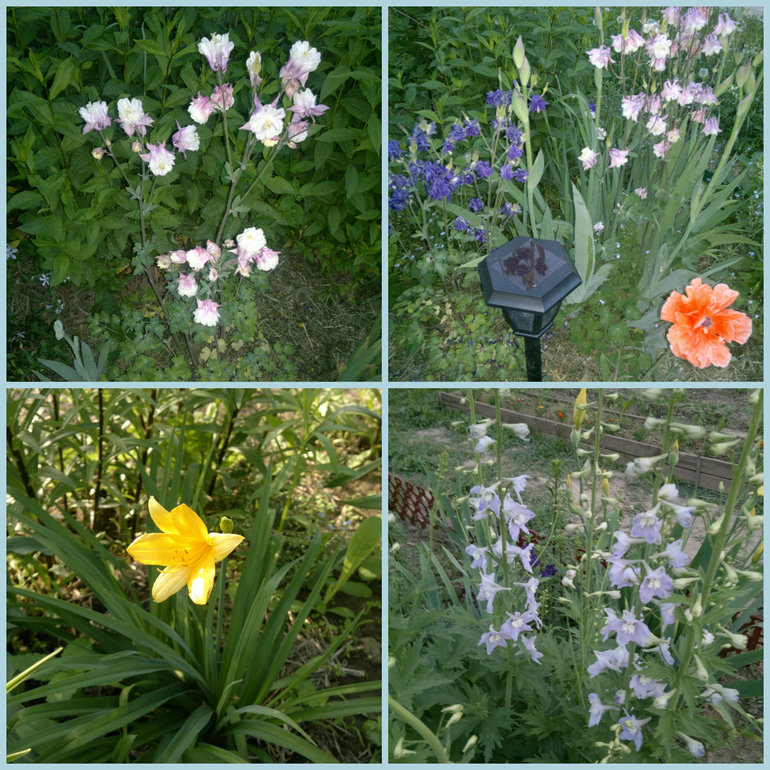 Fly-эстафета в частном доме. 6 июня