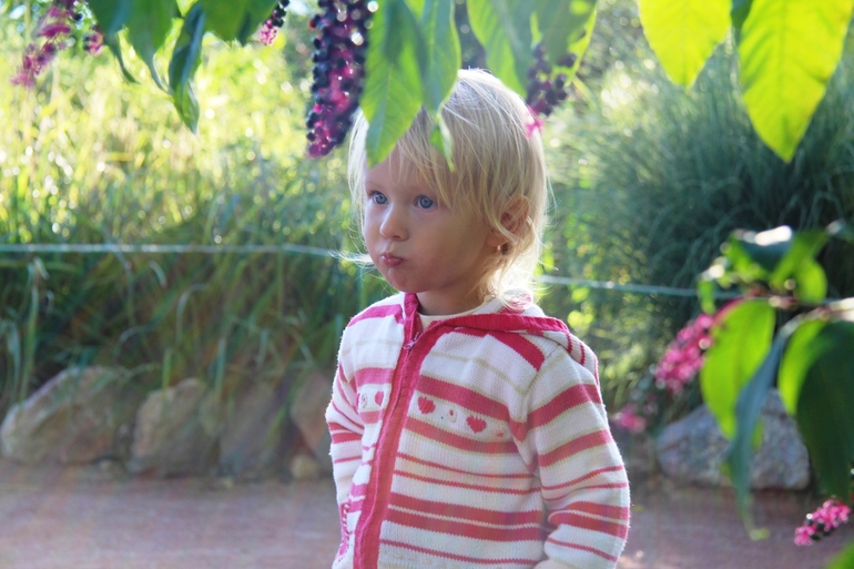 Отзыв про отдых в Никите