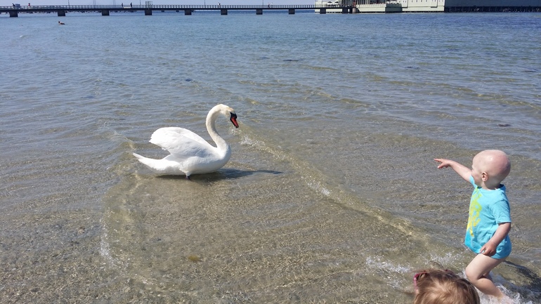 Наше море и мы, 1год и 11 месяцев!